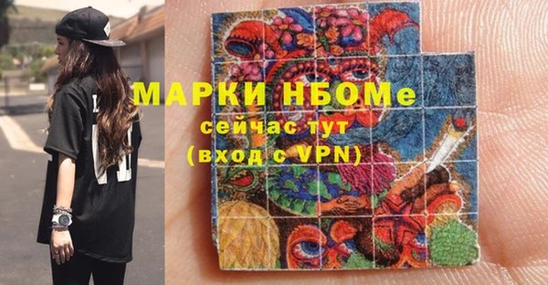 индика Алзамай
