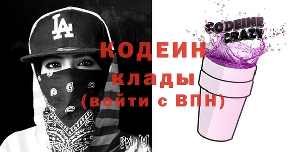 индика Алзамай