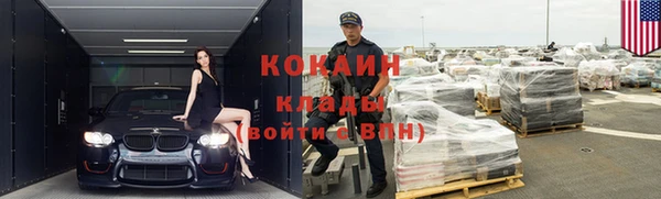 кокс Алексин