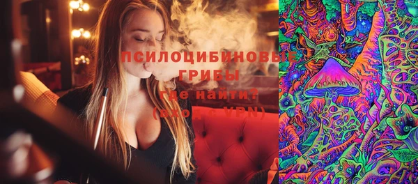 индика Алзамай