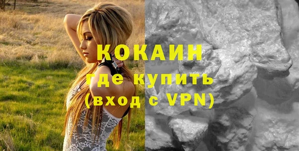 индика Алзамай