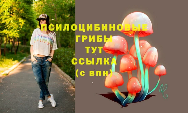 герыч Абаза